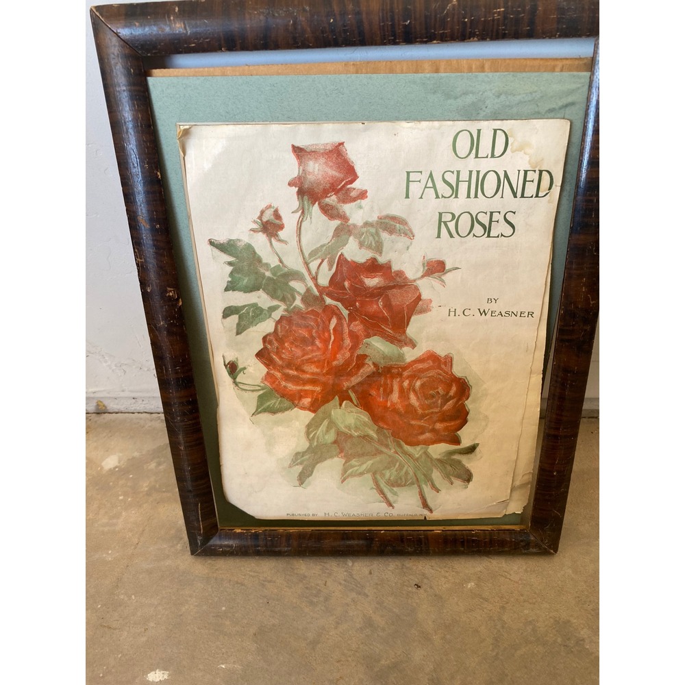 Vintage Old Fashioned Roses H.C. Weasner Lithograph Print Wood Frame Buffalo NY